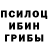 Псилоцибиновые грибы Cubensis TheKrasnoyarsk