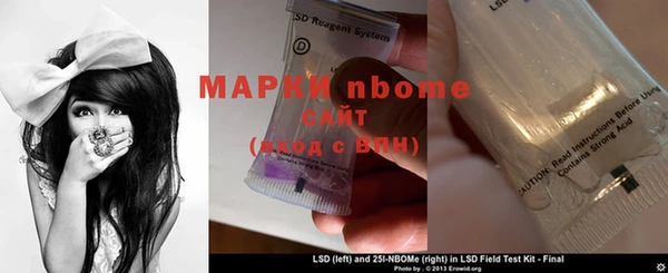 твердый Протвино