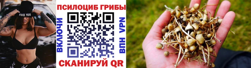 МЕГА как войти  Ивантеевка  Псилоцибиновые грибы MAGIC MUSHROOMS 